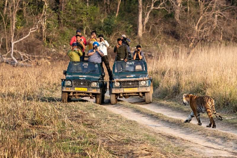 Parco nazionale di Ranthambore | Parco Ranthambore Parco nazionale di Ranthambore | Parco Ranthambore